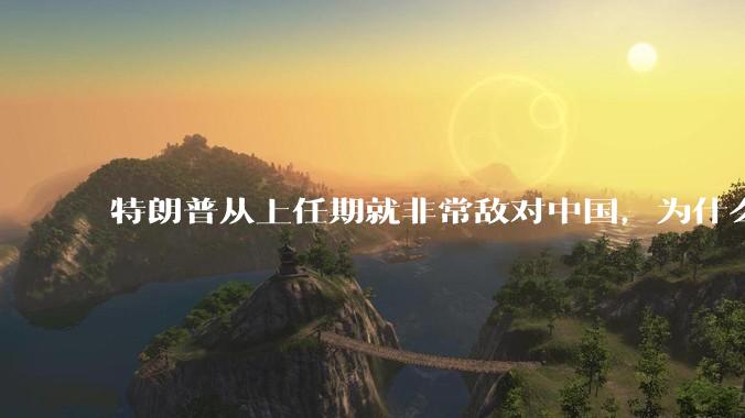 特朗普从上任期就非常敌对中国，为什么大选时中国国内很多人支持他当选，支持他的中国人是个什么群体？