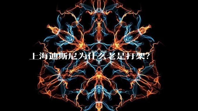 上海迪斯尼为什么老是打架？
