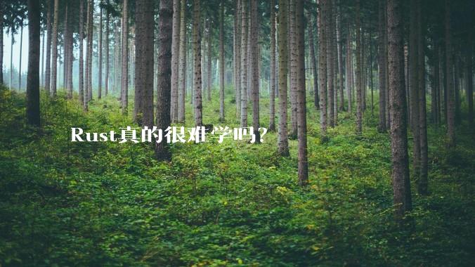 Rust真的很难学吗？
