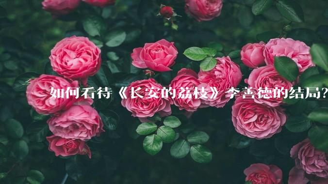如何看待《长安的荔枝》李善德的结局？