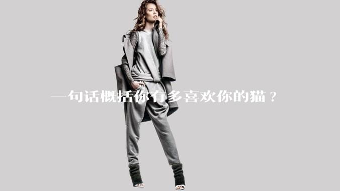 一句话概括你有多喜欢你的猫?
