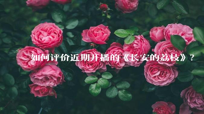 如何评价近期开播的《长安的荔枝》？