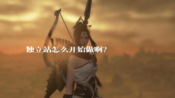 独立站怎么开始做啊？