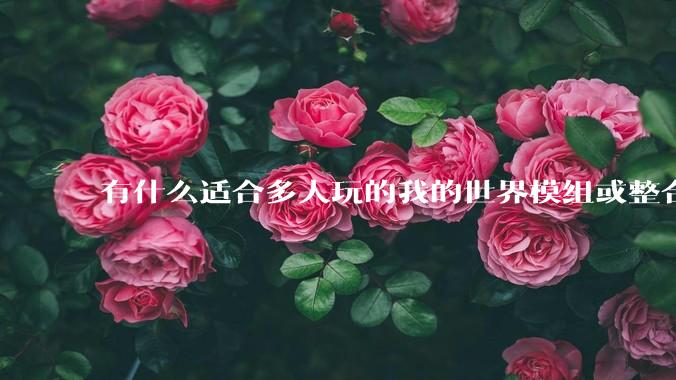 有什么适合多人玩的我的世界模组或整合包？