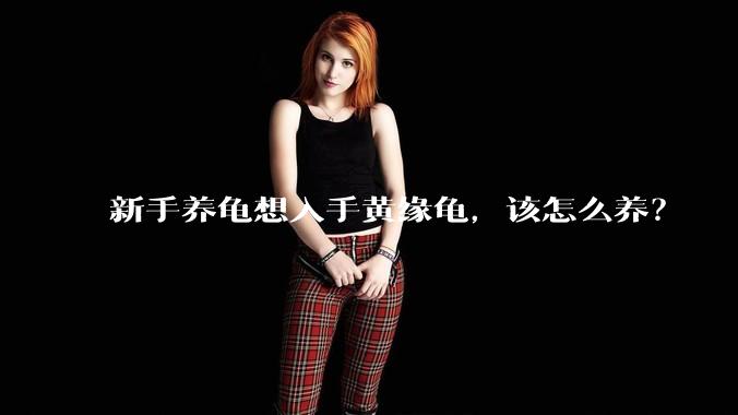 新手养龟想入手黄缘龟，该怎么养？