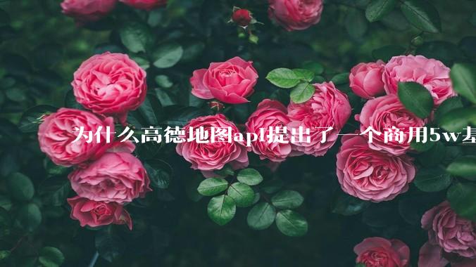 为什么高德地图api提出了一个商用5w基础费用起步的概念？