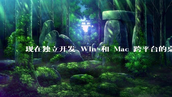 现在独立开发 Win 和 Mac 跨平台的桌面程序，Qt 是最佳选择吗？