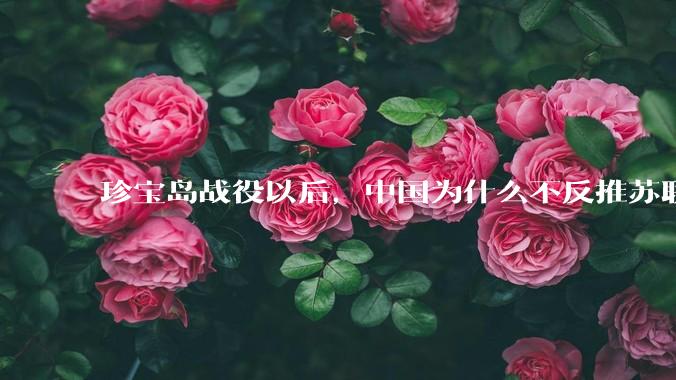 珍宝岛战役以后，中国为什么不反推苏联?