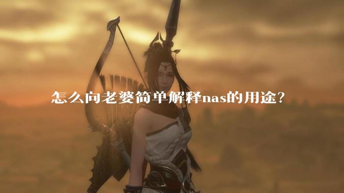 怎么向老婆简单解释nas的用途？