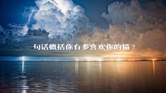 一句话概括你有多喜欢你的猫?