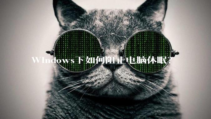 Windows下如何阻止电脑休眠？