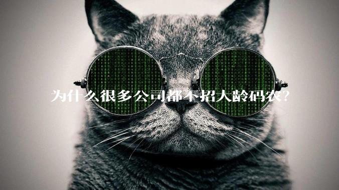 为什么很多公司都不招大龄码农？