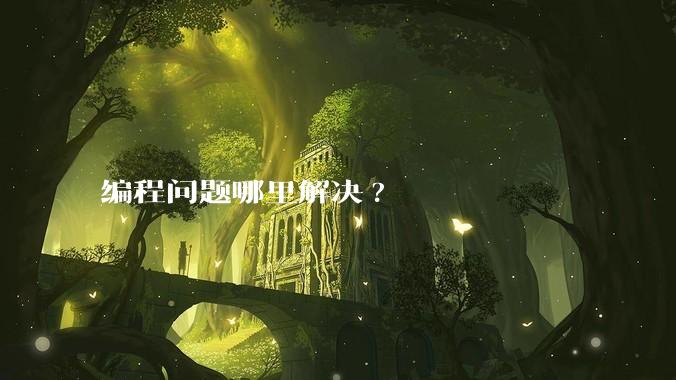 编程问题哪里解决?