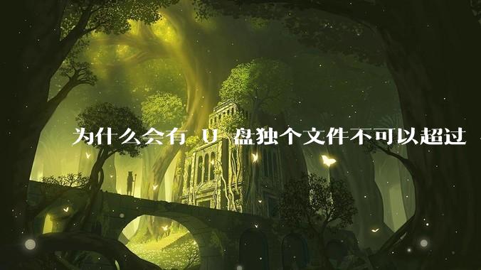 为什么会有 U 盘独个文件不可以超过 4GB 这种设定？