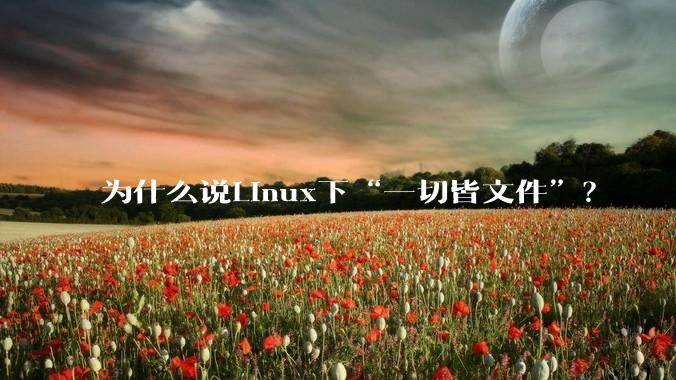 为什么说Linux下“一切皆文件”？