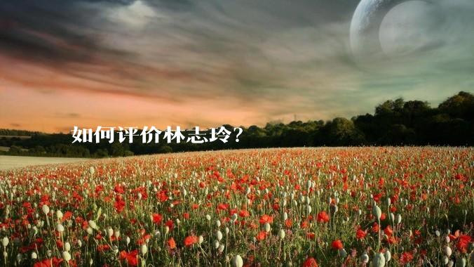 如何评价林志玲？