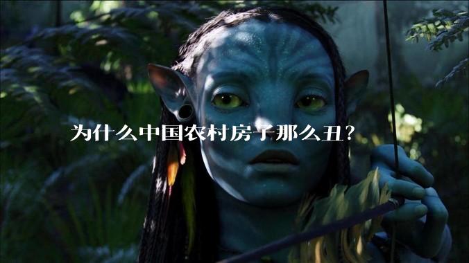 为什么中国农村房子那么丑？