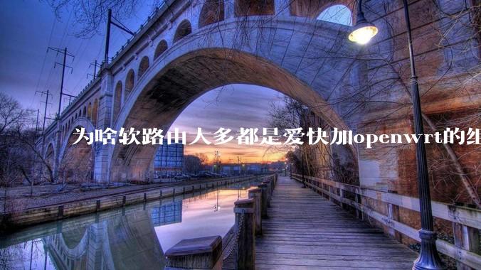 为啥软路由大多都是爱快加openwrt的组合，单openwrt有什么缺点嘛？