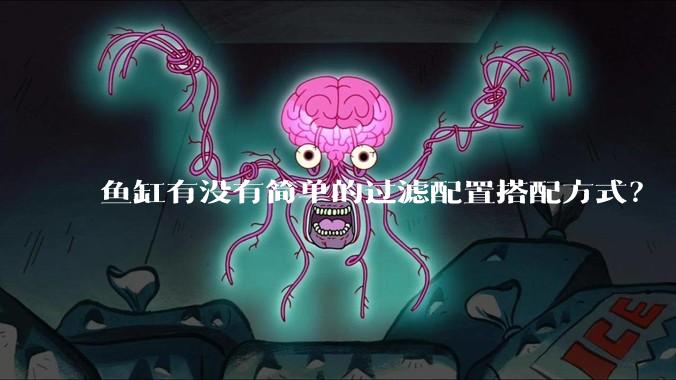 鱼缸有没有简单的过滤配置搭配方式？