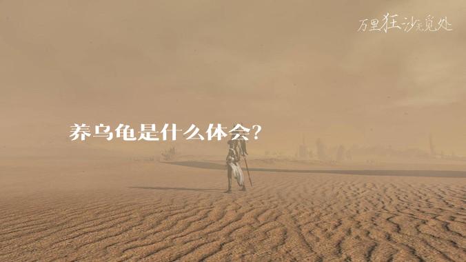 养乌龟是什么体会？