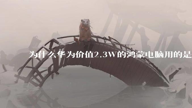 为什么华为价值2.3W的鸿蒙电脑用的是美国西数的中低固态硬盘？？