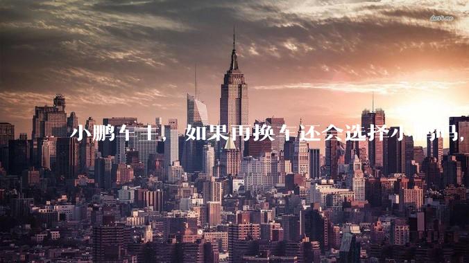 小鹏车主，如果再换车还会选择小鹏吗，欢迎大家理性讨论，给正在观望准备买车的一点中肯的建议？