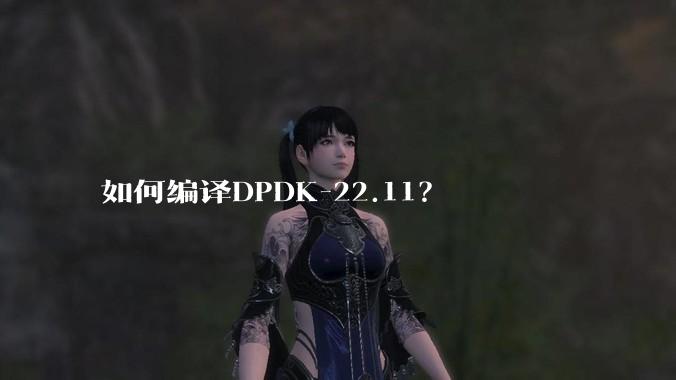 如何编译DPDK-22.11？