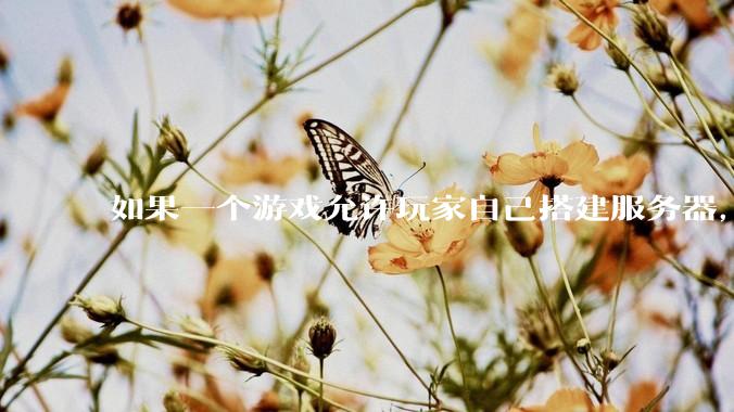如果一个游戏允许玩家自己搭建服务器，那是不是会省下一大笔成本？