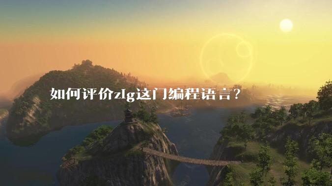 如何评价zig这门编程语言？