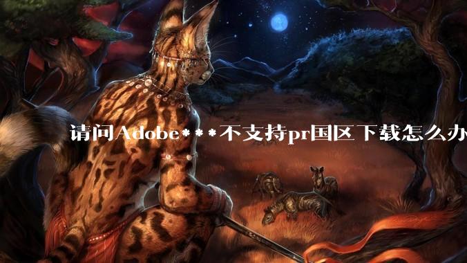 请问Adobe***不支持pr国区下载怎么办？