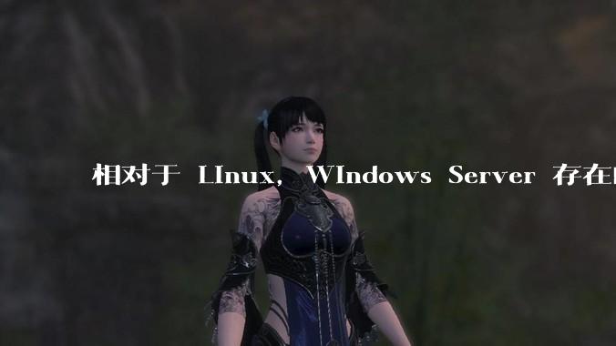 相对于 Linux，Windows Server 存在的意义是什么？