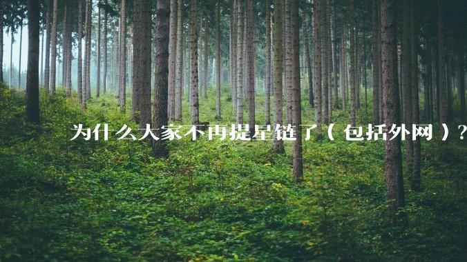 为什么大家不再提星链了（包括外网）？