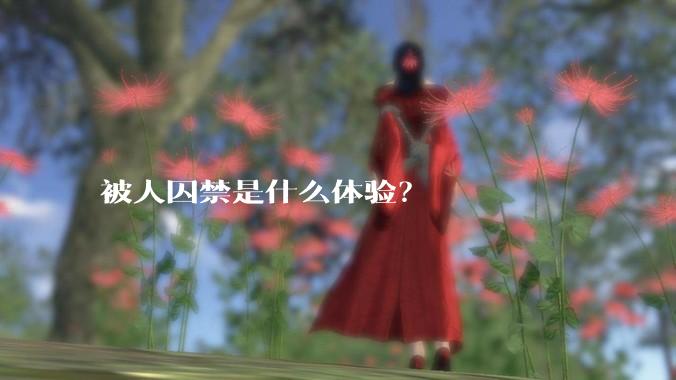被人囚禁是什么体验？