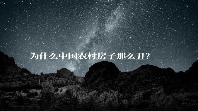 为什么中国农村房子那么丑？