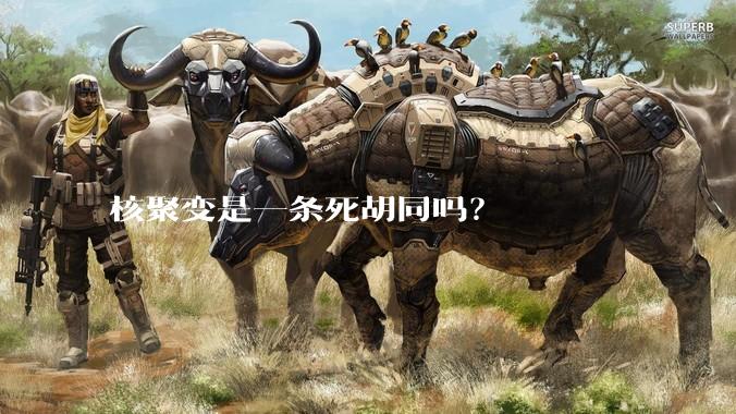 核聚变是一条死胡同吗？