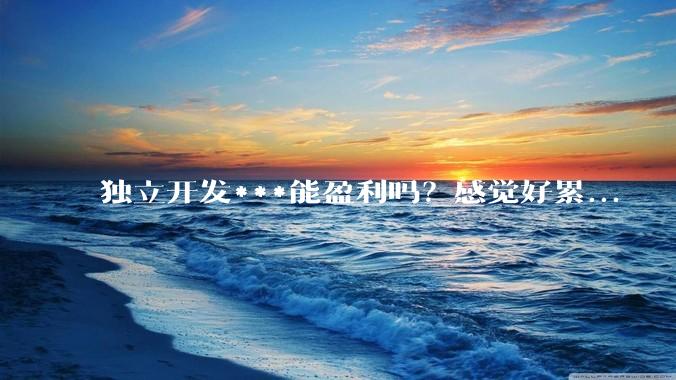 独立开发***能盈利吗？感觉好累...