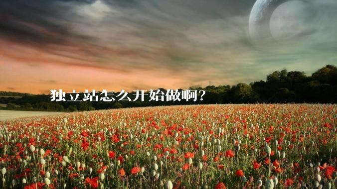 独立站怎么开始做啊？