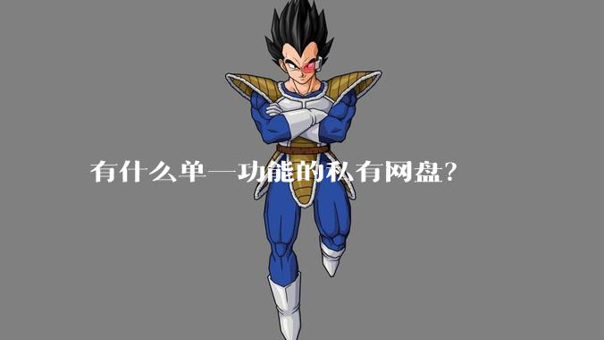 有什么单一功能的私有网盘？