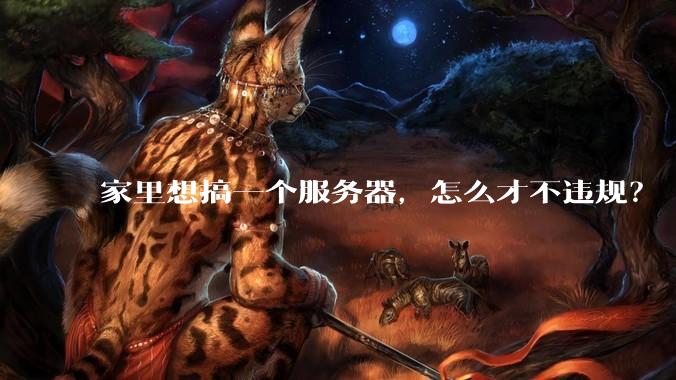 家里想搞一个服务器，怎么才不违规？