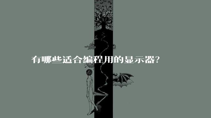 有哪些适合编程用的显示器？
