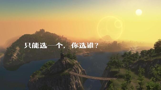只能选一个，你选谁？
