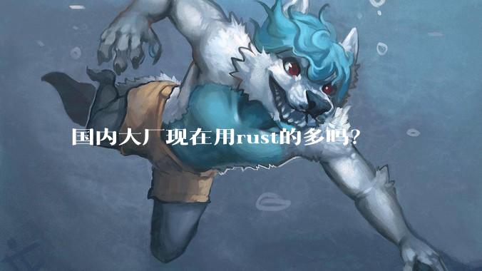 国内大厂现在用rust的多吗？