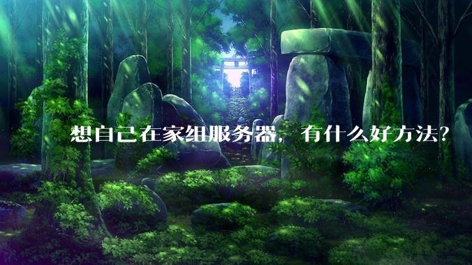 想自己在家组服务器，有什么好方法？
