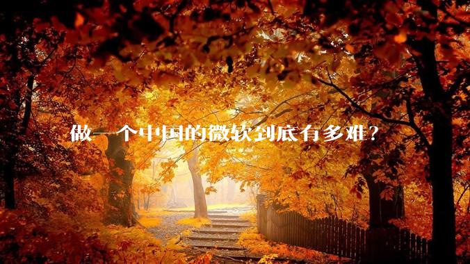 做一个中国的微软到底有多难？