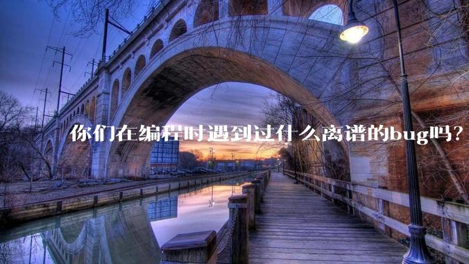 你们在编程时遇到过什么离谱的bug吗？