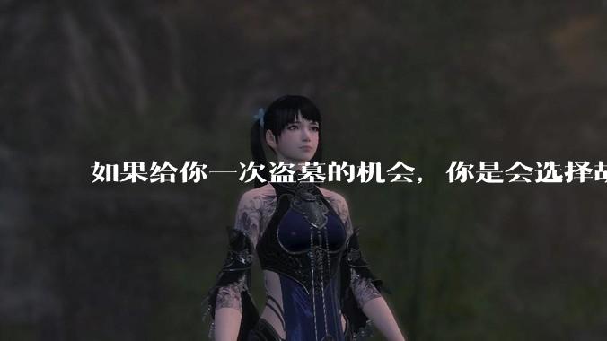 如果给你一次盗墓的机会，你是会选择胡八一一组还是吴邪一组?