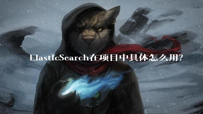 ElasticSearch在项目中具体怎么用？