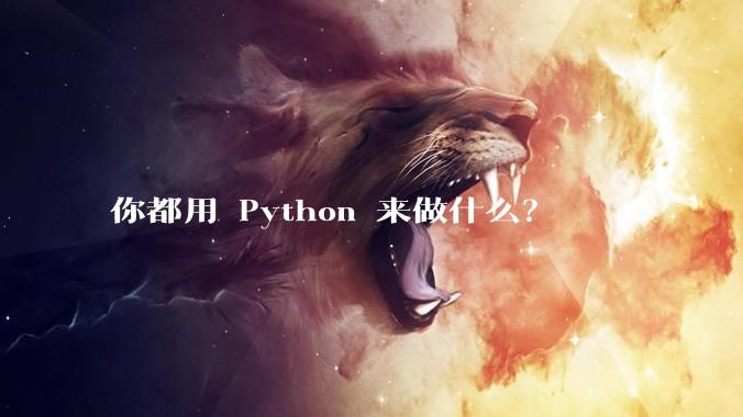 你都用 Python 来做什么？