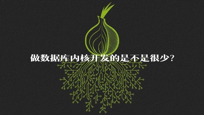 做数据库内核开发的是不是很少？