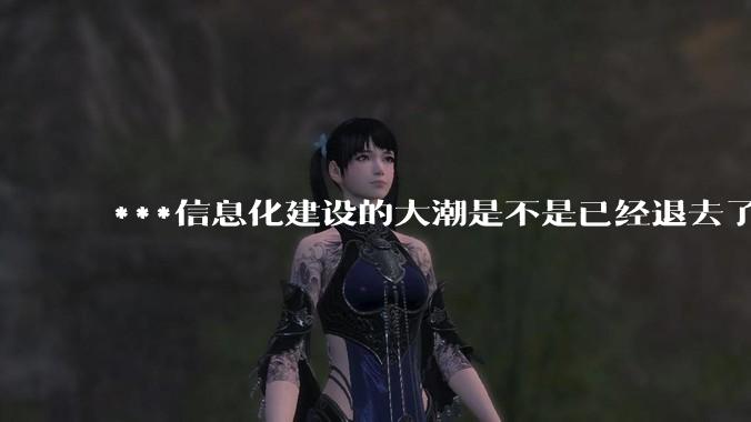 ***信息化建设的大潮是不是已经退去了？